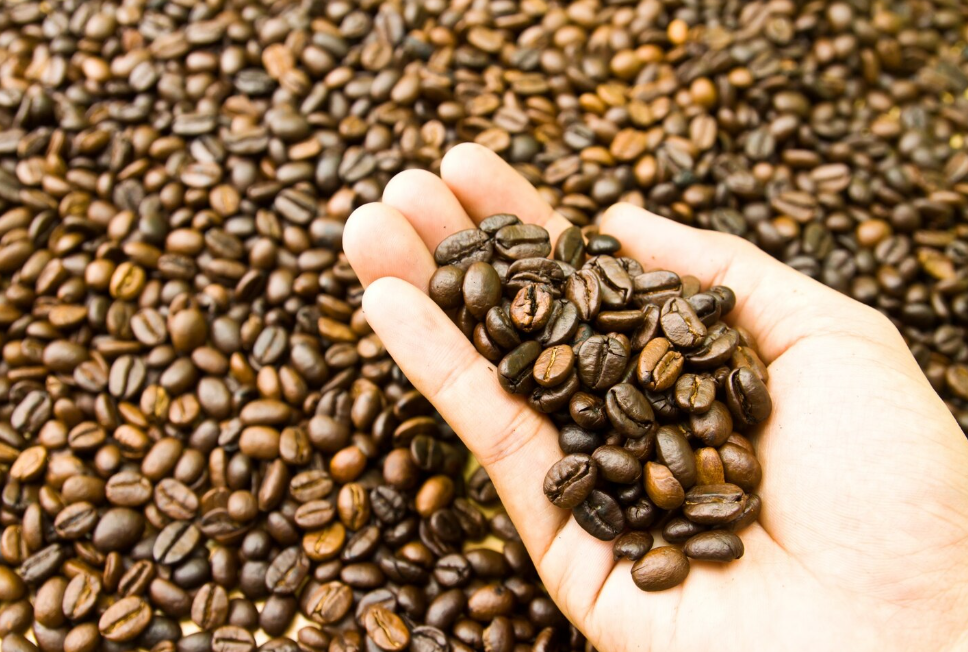 Coffee Bean Varieties from Indonesia