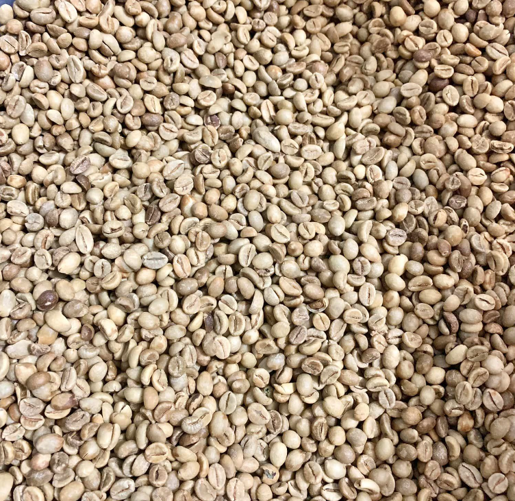 The Coffee Journey: From Coffee Beans to Coffee